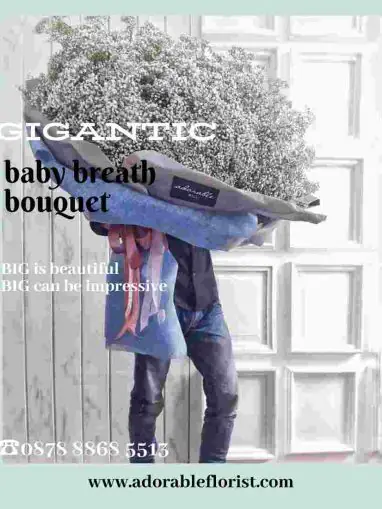 jual buket bunga baby breath