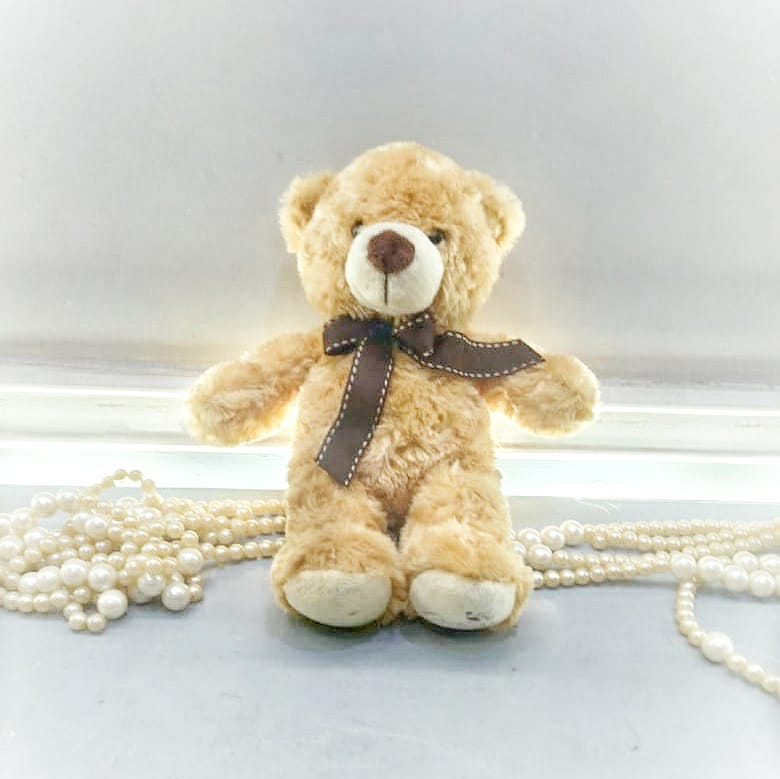 Boneka Teddy Bear Boy - 9 inch