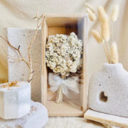 hadiah bunga edelweiss