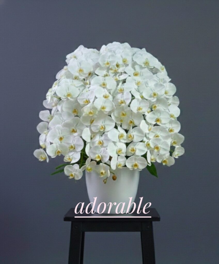 bunga anggrek warna putih