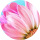 Dikna Putri Avatar